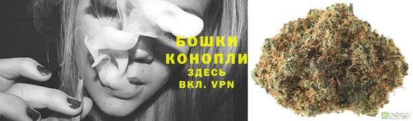 бошки Алапаевск