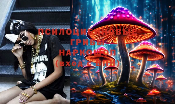 соль ск Нефтегорск