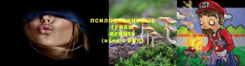 Псилоцибиновые грибы MAGIC MUSHROOMS  купить   Костерёво 