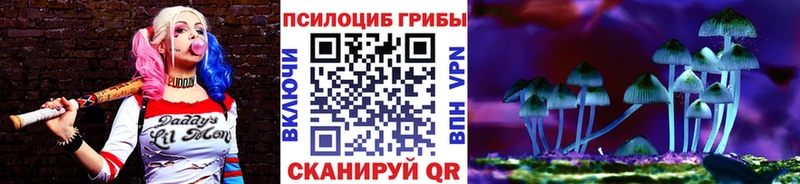 KRAKEN онион  Костерёво  Псилоцибиновые грибы GOLDEN TEACHER  купить наркоту 